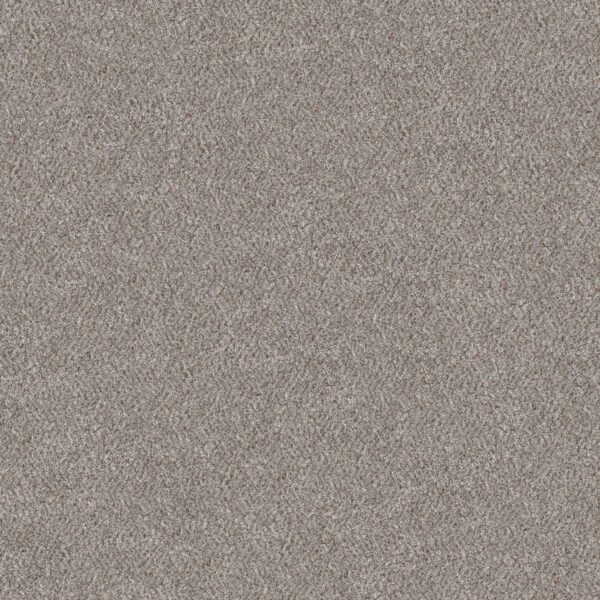 Shaw Floors Carpet Cabana Bay (B) Stone 00550_E9956