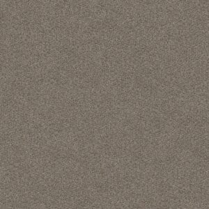 Shaw Floors Carpet Cabana Bay (B) Granite 00551_E9956