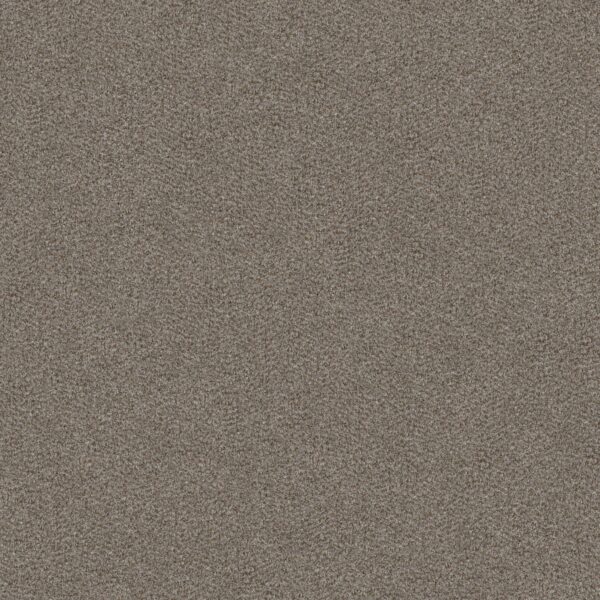 Shaw Floors Carpet Cabana Bay (B) Granite 00551_E9956