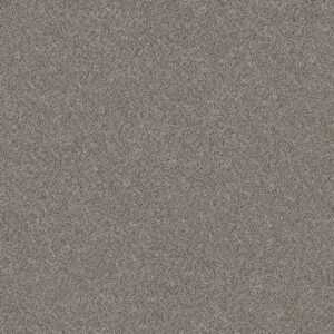 Shaw Floors Carpet Cabana Bay (B) Sierra Mist 00555_E9956
