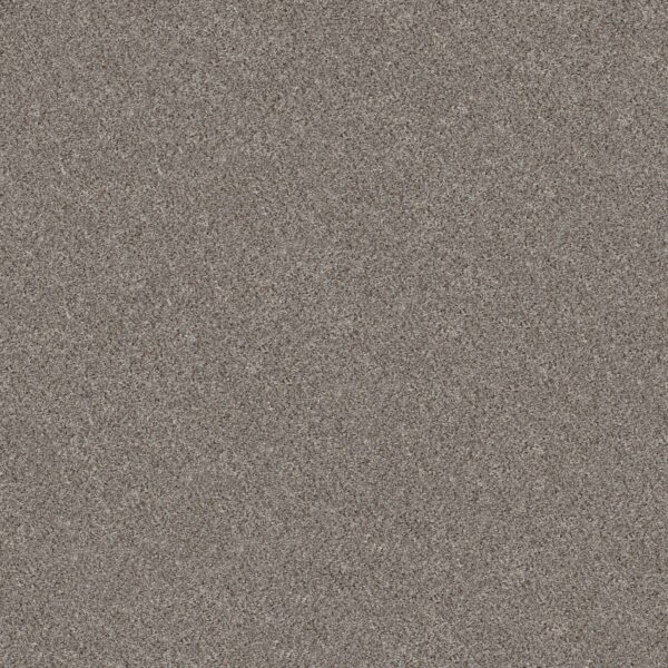 Shaw Floors Carpet Cabana Bay (B) Sierra Mist 00555_E9956