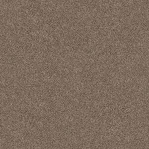 Shaw Floors Carpet Cabana Bay (B) Brown Reed 00751_E9956