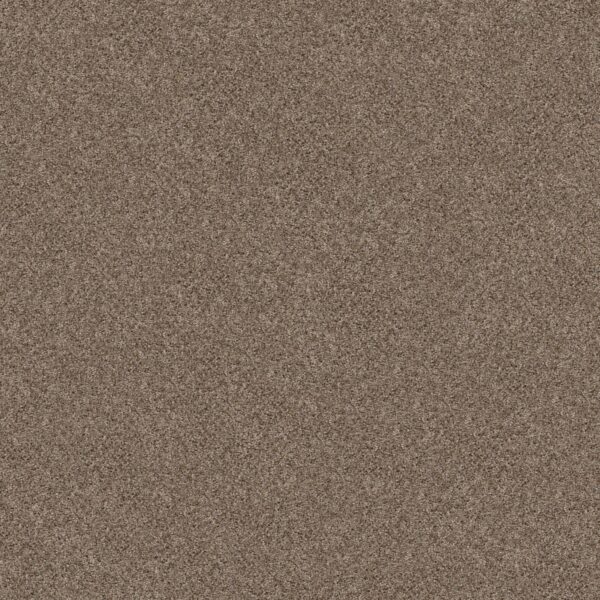 Shaw Floors Carpet Cabana Bay (B) Brown Reed 00751_E9956