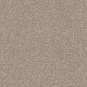 Shaw Floors Carpet Cabana Life Solid Shifting Sand 00105_E9957