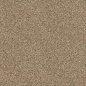 Shaw Floors Carpet Cabana Life Solid Camel 00107_E9957