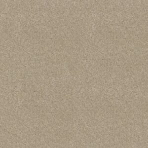 Shaw Floors Carpet Cabana Life Solid Sugar Cookie 00122_E9957