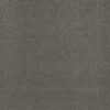 Shaw Floors Carpet Cabana Life Solid Steel 00501_E9957