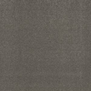 Shaw Floors Carpet Cabana Life Solid Steel 00501_E9957
