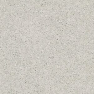Shaw Floors Carpet Cabana Life Solid Ice 00520_E9957