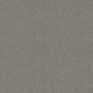 Shaw Floors Carpet Cabana Life Solid Dolphin 00521_E9957