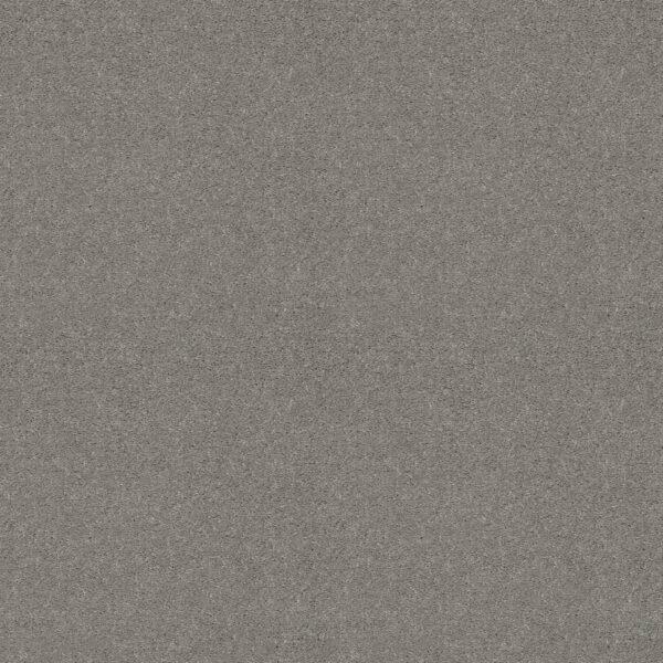 Shaw Floors Carpet Cabana Life Solid Dolphin 00521_E9957