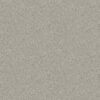 Shaw Floors Carpet Cabana Life Solid Weathered 00522_E9957