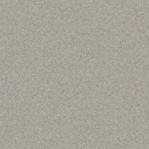 Shaw Floors Carpet Cabana Life Solid Weathered 00522_E9957