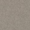 Shaw Floors Carpet Cabana Life Solid Perfect Taupe 00715_E9957