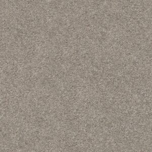 Shaw Floors Carpet Cabana Life Solid Perfect Taupe 00715_E9957