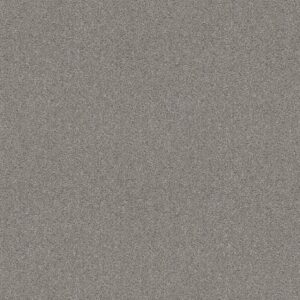 Shaw Floors Carpet Cabana Life (T) Fog 00540_E9958