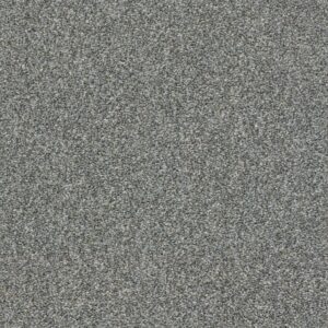 Shaw Floors Carpet Cabana Life (T) Shadow 00541_E9958