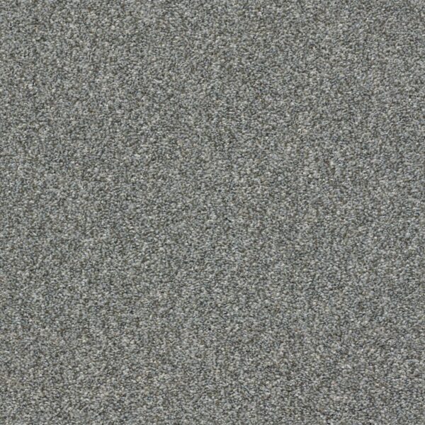 Shaw Floors Carpet Cabana Life (T) Shadow 00541_E9958