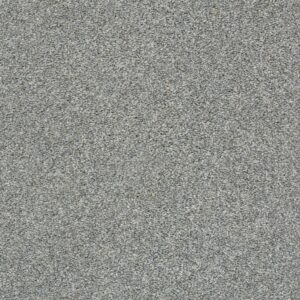 Shaw Floors Carpet Cabana Life (T) Stainless 00542_E9958