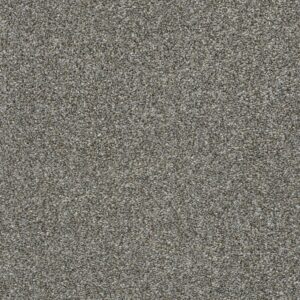 Shaw Floors Carpet Cabana Life (T) Walking Trail 00745_E9958