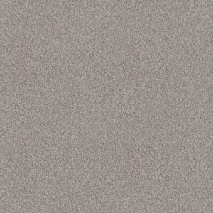 Shaw Floors Carpet Cabana Life (B) Winter 00150_E9959