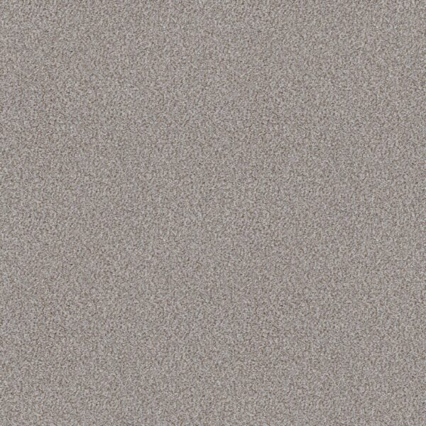 Shaw Floors Carpet Cabana Life (B) Winter 00150_E9959