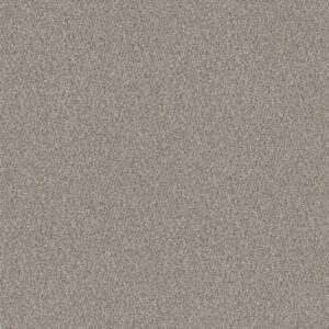 Shaw Floors Carpet Cabana Life (B) Seashell 00151_E9959