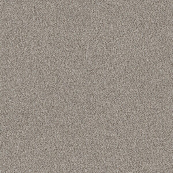 Shaw Floors Carpet Cabana Life (B) Seashell 00151_E9959