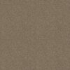 Shaw Floors Carpet Cabana Life (B) Mesa 00152_E9959