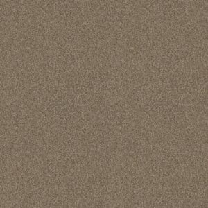 Shaw Floors Carpet Cabana Life (B) Mesa 00152_E9959