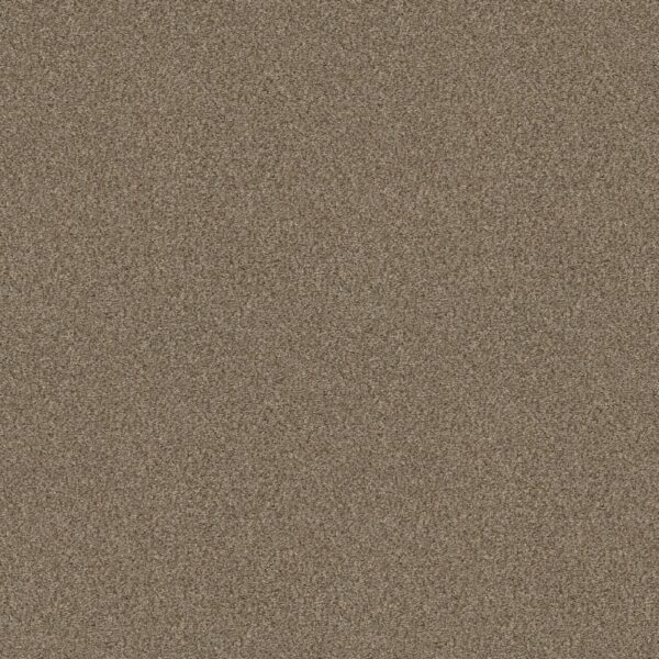 Shaw Floors Carpet Cabana Life (B) Mesa 00152_E9959