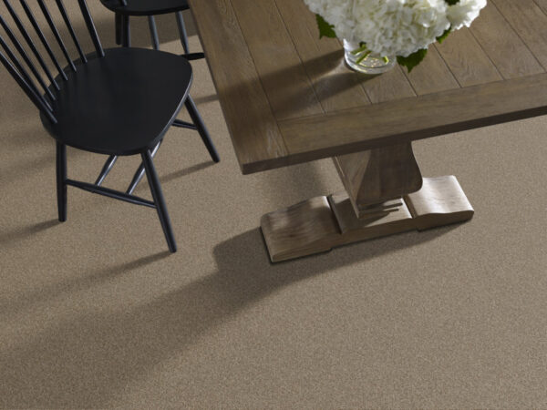 Shaw Floors Carpet Cabana Life (B) Mesa 00152_E9959 - Image 2