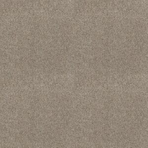 Shaw Floors Carpet Cabana Life (B) Beach House 00250_E9959