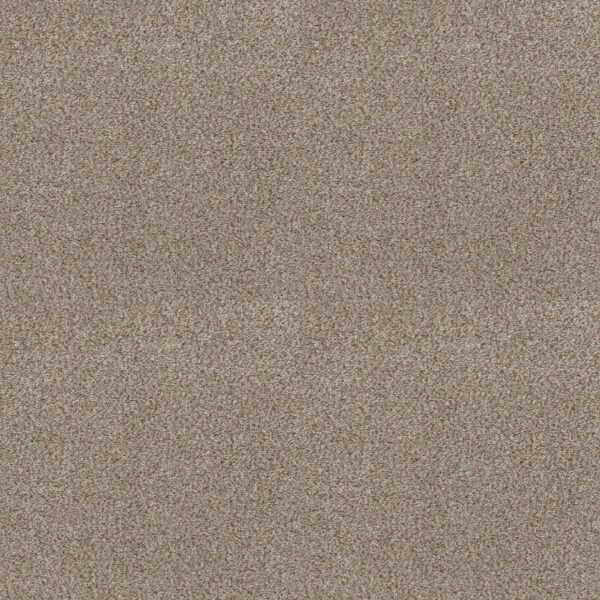 Shaw Floors Carpet Cabana Life (B) Beach House 00250_E9959