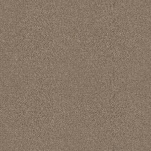 Shaw Floors Carpet Cabana Life (B) Summer Wind 00251_E9959