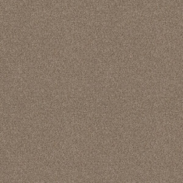 Shaw Floors Carpet Cabana Life (B) Summer Wind 00251_E9959