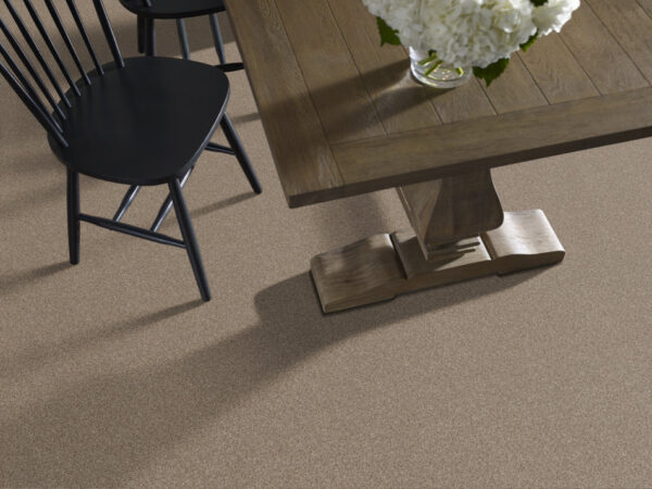 Shaw Floors Carpet Cabana Life (B) Summer Wind 00251_E9959 - Image 2