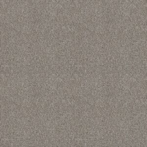 Shaw Floors Carpet Cabana Life (B) Stone 00550_E9959