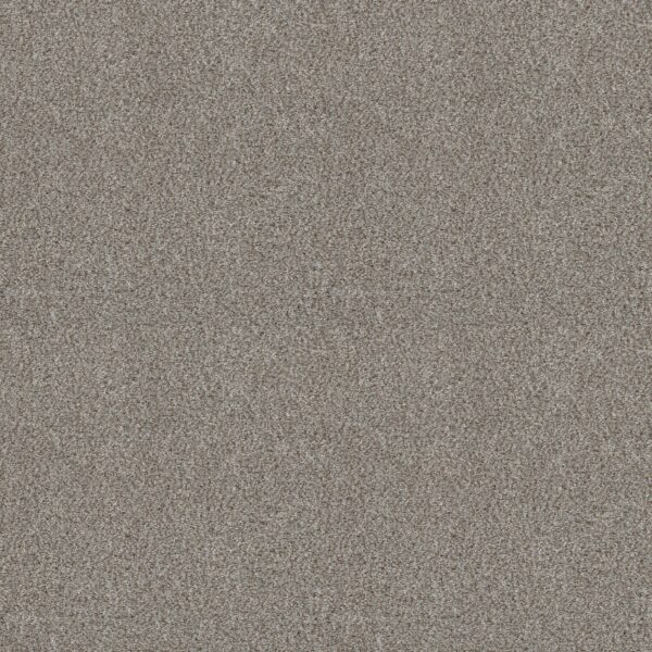 Shaw Floors Carpet Cabana Life (B) Stone 00550_E9959