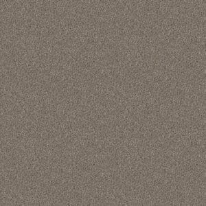 Shaw Floors Carpet Cabana Life (B) Granite 00551_E9959