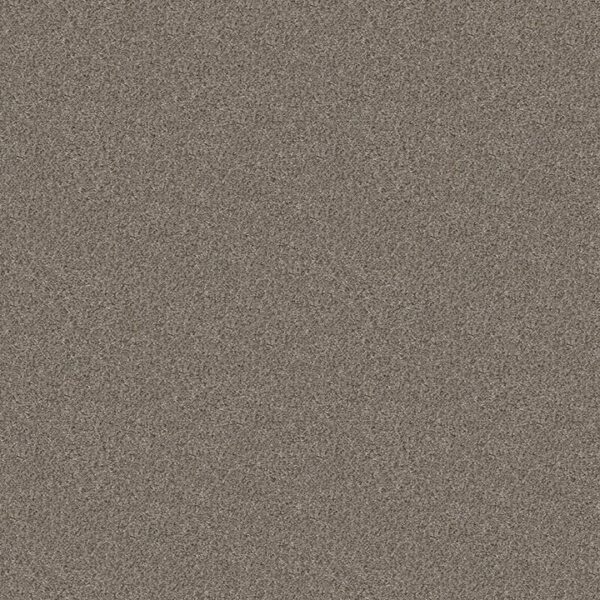 Shaw Floors Carpet Cabana Life (B) Granite 00551_E9959