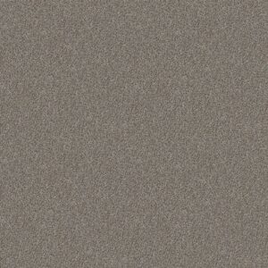 Shaw Floors Carpet Cabana Life (B) Sierra Mist 00555_E9959