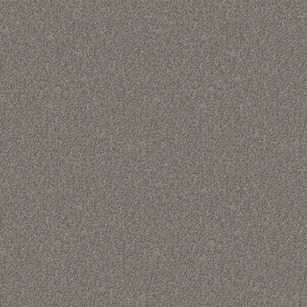 Shaw Floors Carpet Cabana Life (B) Sierra Mist 00555_E9959