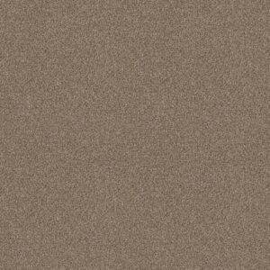 Shaw Floors Carpet Cabana Life (B) Brown Reed 00751_E9959