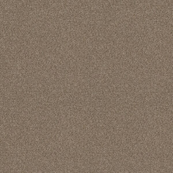 Shaw Floors Carpet Cabana Life (B) Brown Reed 00751_E9959