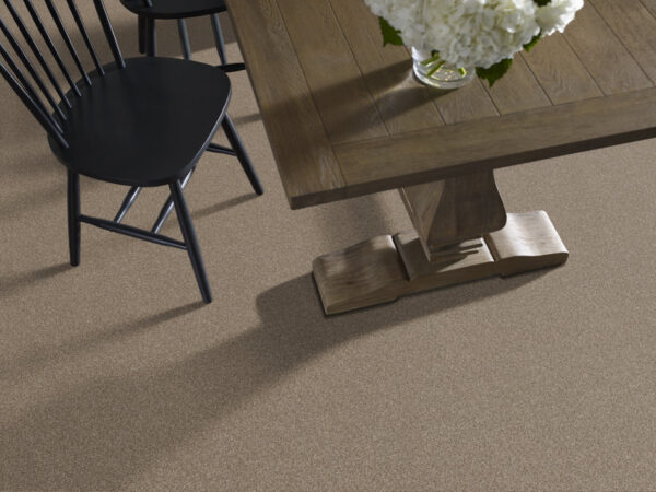 Shaw Floors Carpet Cabana Life (B) Brown Reed 00751_E9959 - Image 2