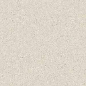 Shaw Floors Carpet Attainable Blizzard 100S_E9965