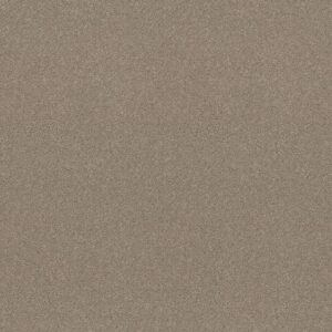 Shaw Floors Carpet Attainable Pebble Path 101S_E9965