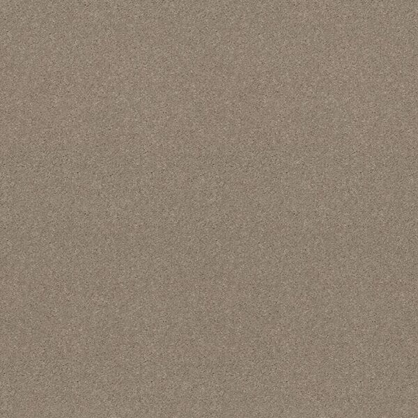 Shaw Floors Carpet Attainable Pebble Path 101S_E9965