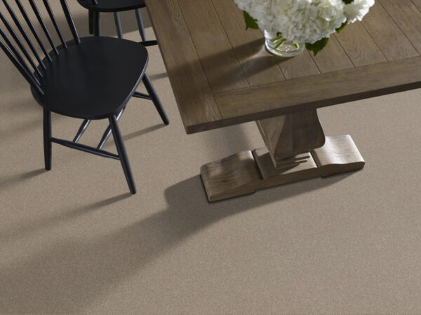 Shaw Floors Carpet Attainable Pebble Path 101S_E9965 - Image 2